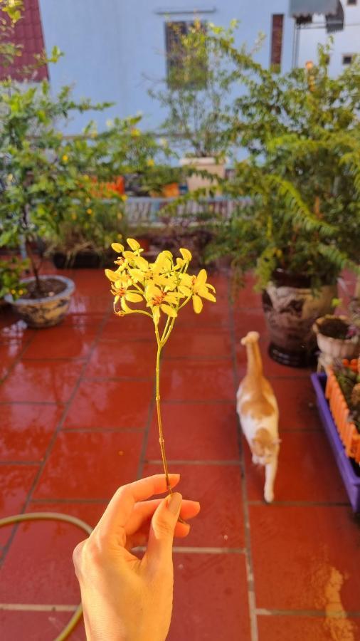 Daisy's Séjour chez l'habitant Hanoï